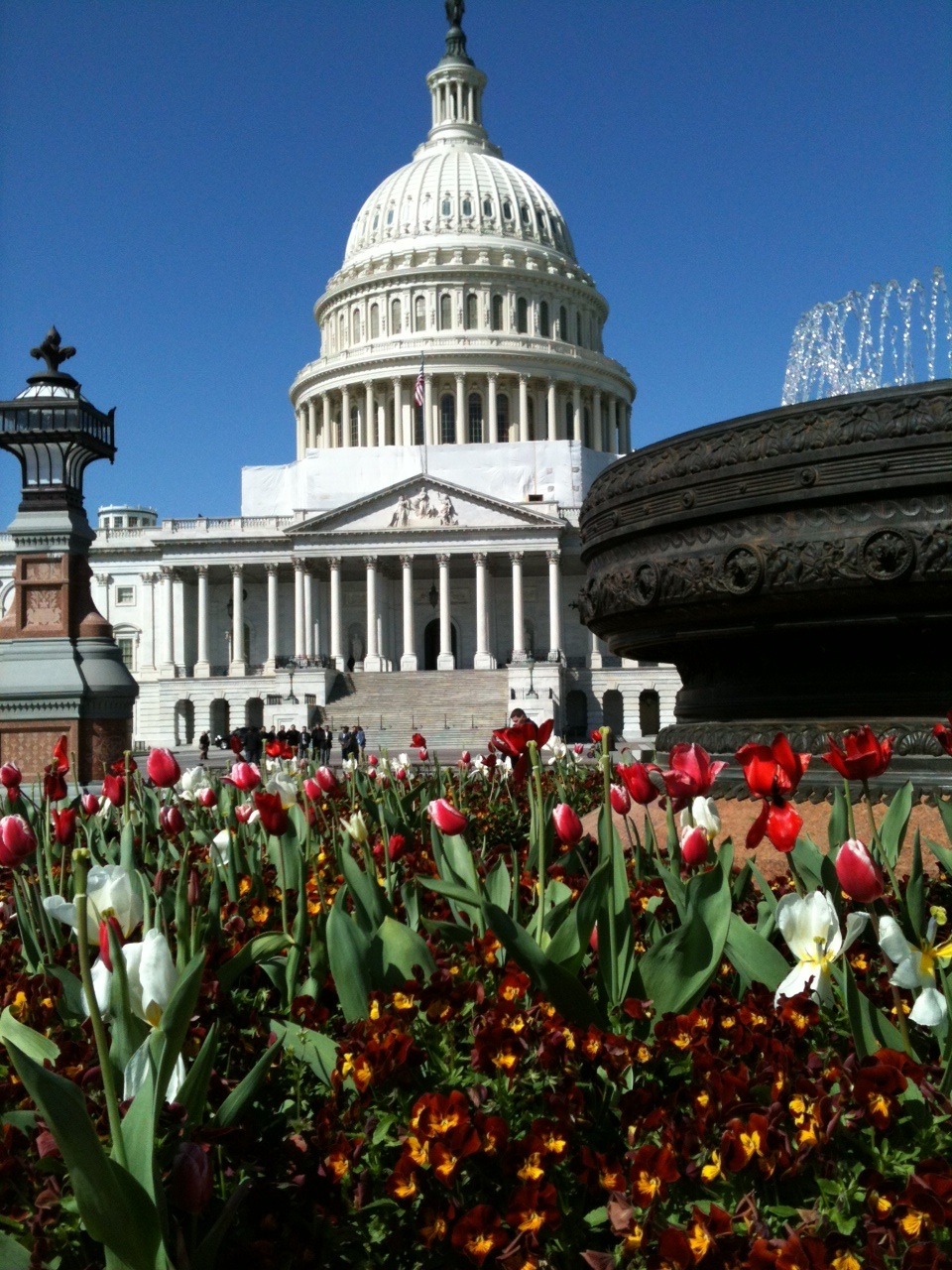 Harnessing the power of wind for energy.