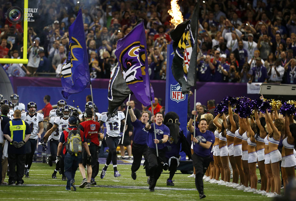 Tony: Baltimore Ravens Stuntman and Science Communicator