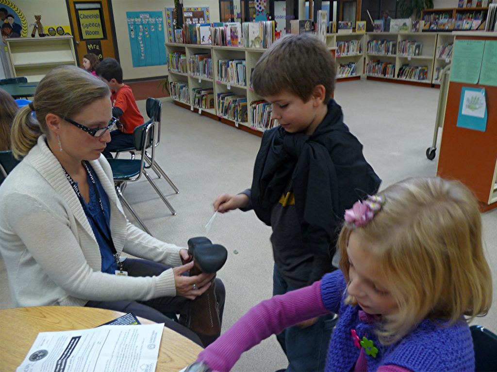 Chapman Hill Tracy Cook